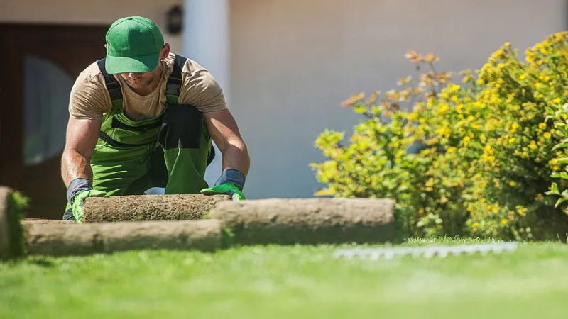 Transform Your Outdoor Space with Expert Landscaping in Ottawa
